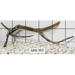 Mangrovewood 363