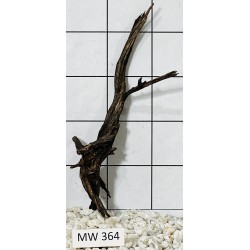 Mangrovewood 364