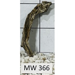 Mangrovewood 366