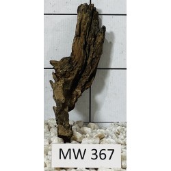 Mangrovewood 367