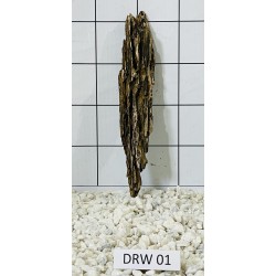 Dragonwood 01