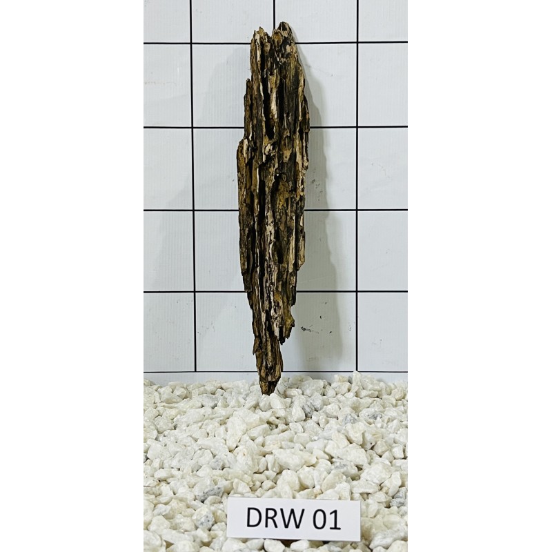 Dragonwood 01