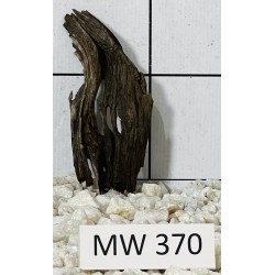 Mangrovewood 370