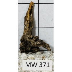 Mangrovewood 371