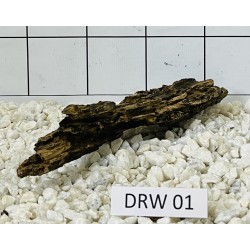 Dragonwood 01