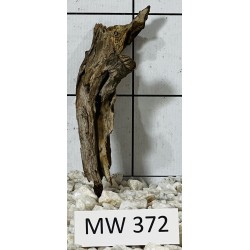 Mangrovewood 372