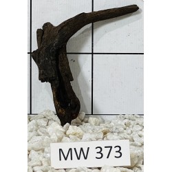 Mangrovewood 373