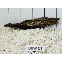 Dragonwood 01