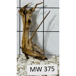 Mangrovewood 375