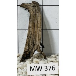 Mangrovewood 376