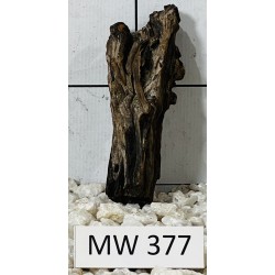 Mangrovewood 377