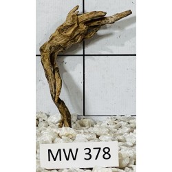 Mangrovewood 378
