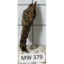 Mangrovewood 379