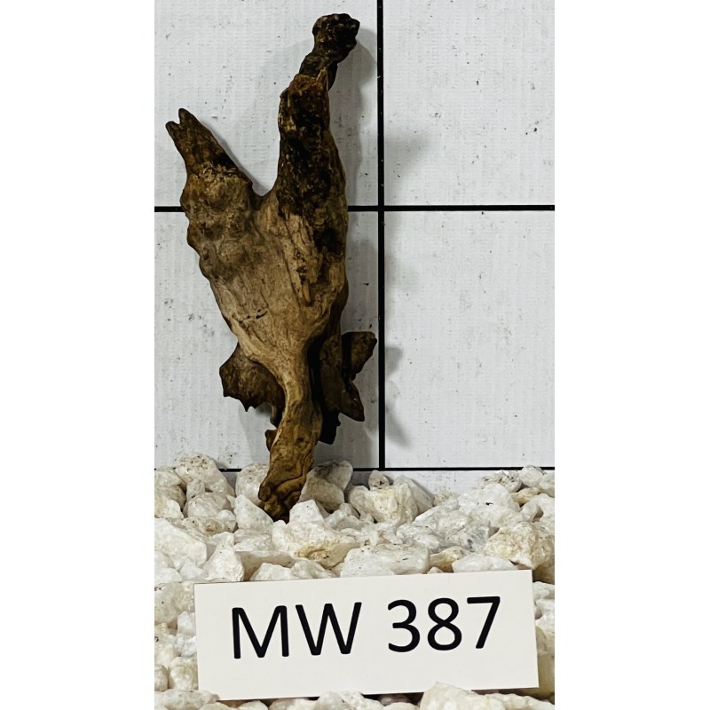 Mangrovewood 387