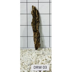 Dragonwood 03