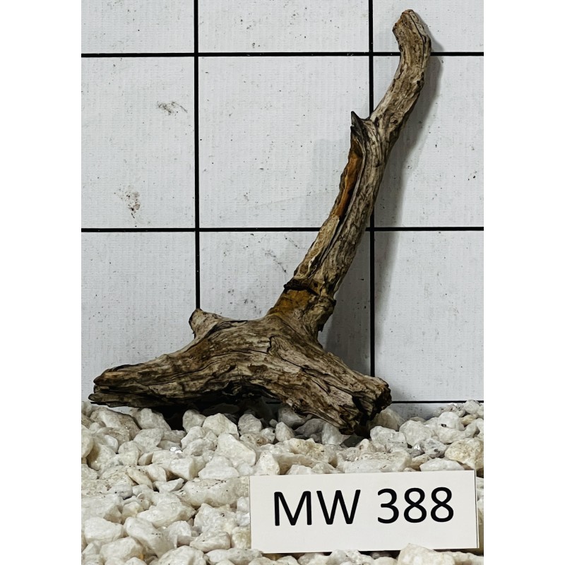 Mangrovewood 388
