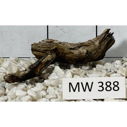 Mangrovewood 388