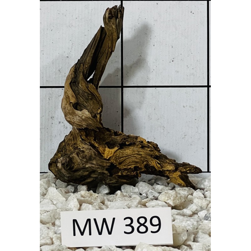 Mangrovewood 389