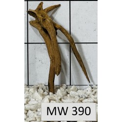 Mangrovewood 390