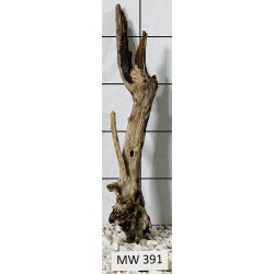 Mangrovewood 391