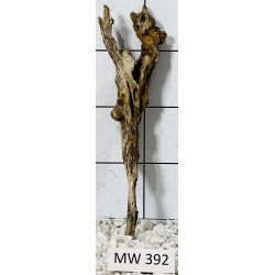 Mangrovewood 392