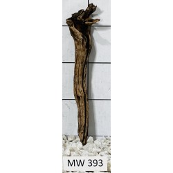 Mangrovewood 393