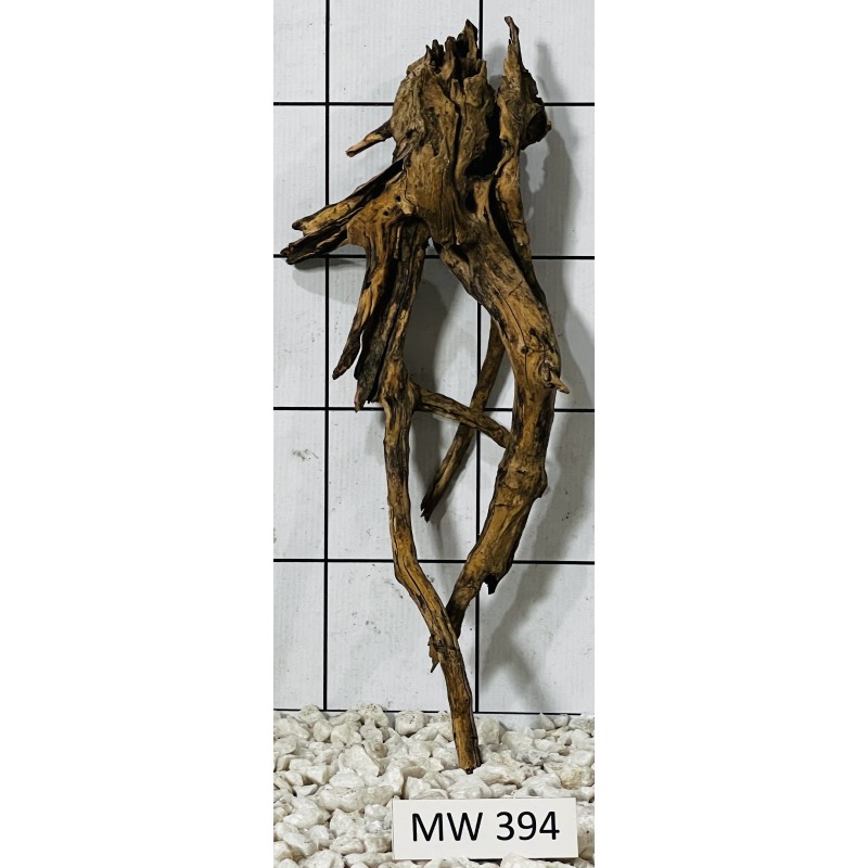Mangrovewood 394