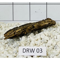 Dragonwood 03