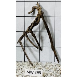 Mangrovewood 395