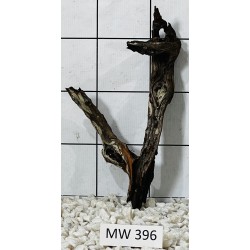 Mangrovewood 396