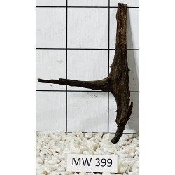 Mangrovewood 399