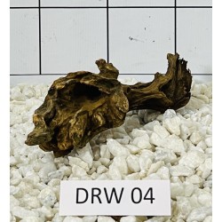 Dragonwood 04