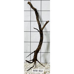 Mangrovewood 402
