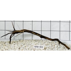 Mangrovewood 402