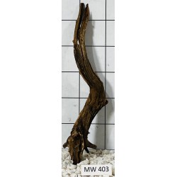 Mangrovewood 403
