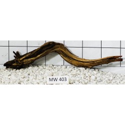Mangrovewood 403