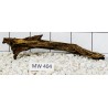 Mangrovewood 404