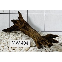 Mangrovewood 404