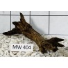 Mangrovewood 404