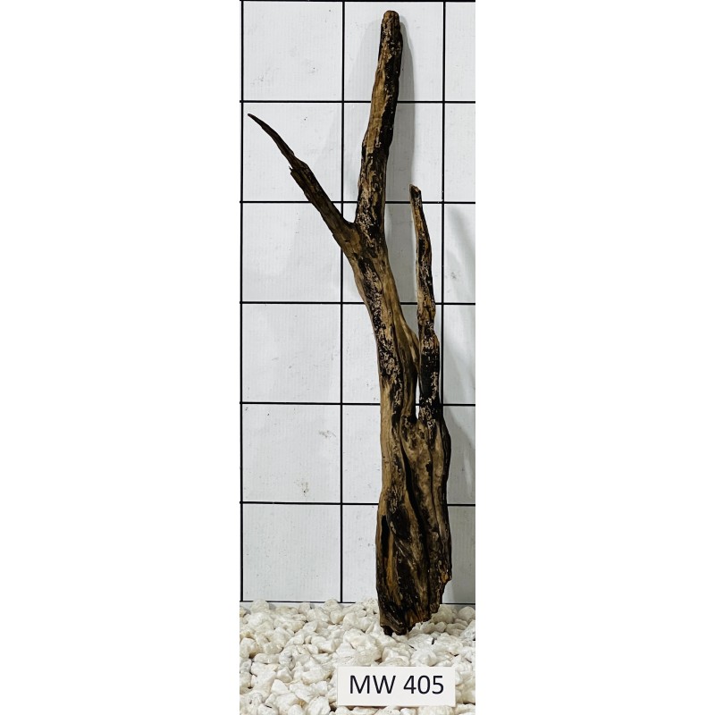 Mangrovewood 405