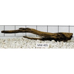 Mangrovewood 405