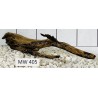 Mangrovewood 405