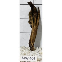 Mangrovewood 406
