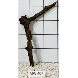 Mangrovewood 407