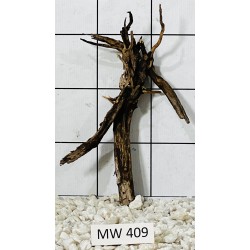 Mangrovewood 409