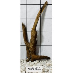 Mangrovewood 411