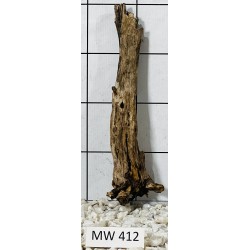 Mangrovewood 412