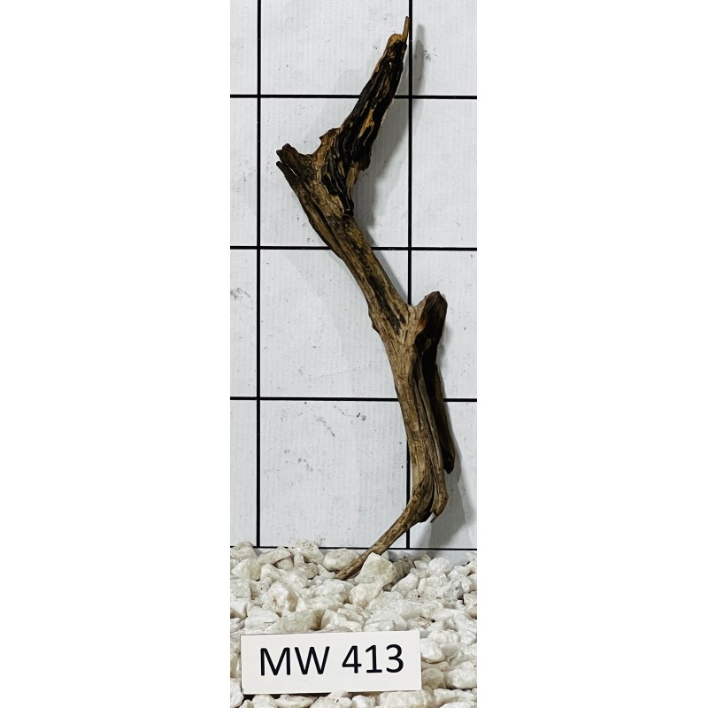 Mangrovewood 413