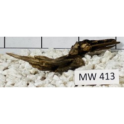 Mangrovewood 413