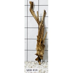 Mangrovewood 414